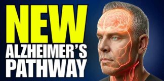 Your Brain Has a Waste System That Prevents Alzheimer's