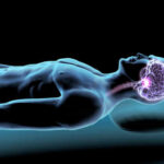 Brain’s Hidden Clues Predict Stroke Impact Illustration of a human figure with a highlighted brain