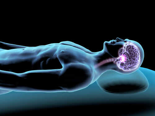shutterstock_1401139691 (1).jpg Illustration of a human figure with a highlighted brain