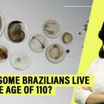 Brazil’s Longevity Gene Jackpot Exposed How do some Brazilians live up to 110 years Scientists hunt for