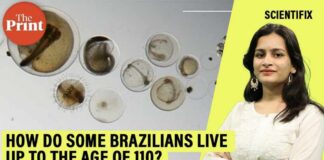 How do some Brazilians live up to 110 years Scientists hunt for