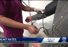 The impact of heart rate on personal health