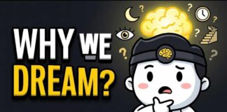 What Dreams Are Really Doing Inside Your Brain