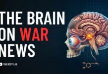 Doomscrolling Is Melting Your Brain Why Humans Are Curious About War News | The Body Lab