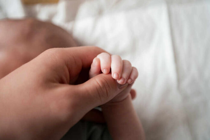 9a3727d6-ff70-4c52-bc15-2dd3fe515569_shutterstock_2079735238 A close-up of a babys hand being held by an adult hand