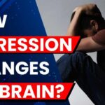 Brain Shrink Tied To Depression Research Shows Depression May Reduce Brain Memory Centre Volume in Older Adults