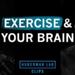 The Best Exercises For Brain Health How to Exercise For Improved Cognitive Function | Dr. Tommy Wood & Dr. Andrew Huberman