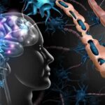 Pleasure Myth Shocks Neuroscience Human brain and damaged myelin sheath illustration