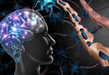 Pleasure Myth Shocks Neuroscience Human brain and damaged myelin sheath illustration