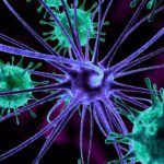 Engineered Probiotics Ambush Hidden Tumors Neuron surrounded by virus-like particles