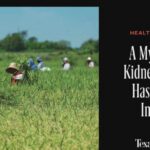Texas Hospitals Flag Mysterious Kidney Crisis A mysterious kidney disease has arrived in Texas / Texas Monthly