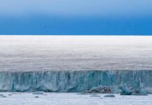 Hidden Penguin Species Found On A Ghost Island Ice cliff along a polar glacier under a blue sky
