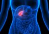 Pain Loop: Depression Fuels Pancreatitis Human torso anatomy highlighting the gallbladder