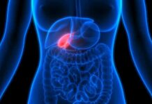Pain Loop: Depression Fuels Pancreatitis Human torso anatomy highlighting the gallbladder