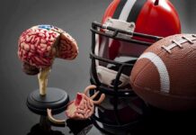 CDC Rules That Speed Concussion Recovery Brain model beside football helmet and ball