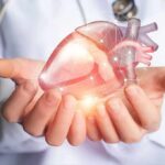 Why Inflammation Matters More For Your Heart Than You Think Hands holding a digital heart model